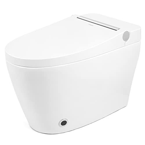 Best Flushing Toilets 2025 - 11 Top Picks Best Flushing Toilets 2025 - 11 Top Picks