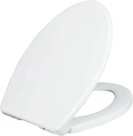 The Best Toilet Seat of 2025 The Best Toilet Seat of 2025
